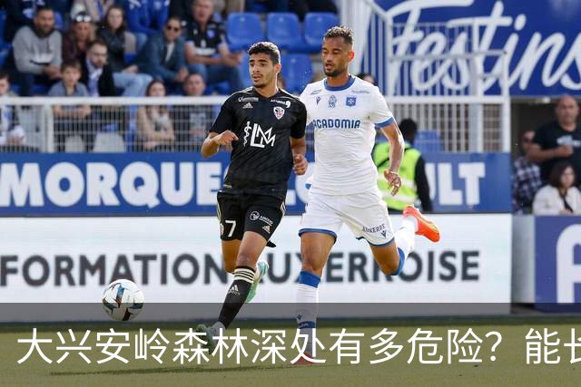大兴安岭森林深处有多危险？能长期住人吗？